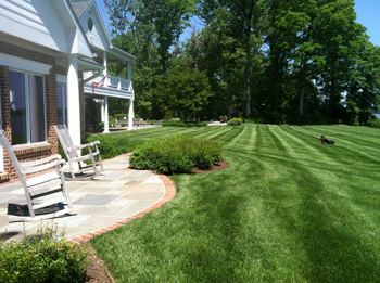 Professional lawn care  in Annapolis, MD