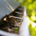 Gutter Cleaning MD