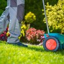 Overseeding Your Lawn