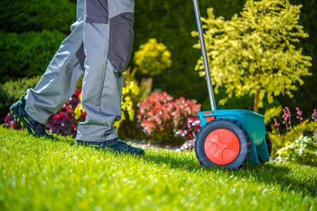 Overseeding Your Lawn
