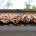 Leaves filled in Gutters