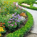 Beautiful flower bed from Crew Cut Lawn