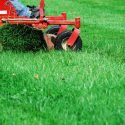 Lawnmower cutting the lawn in the summer