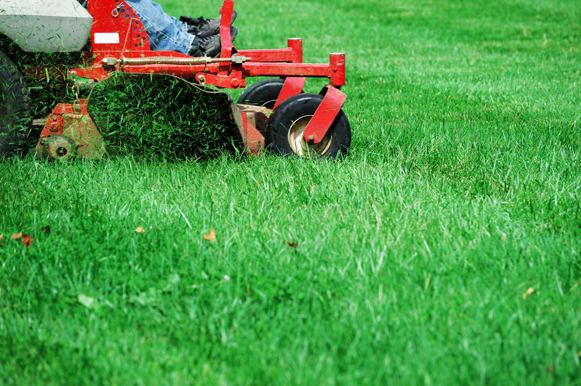 Lawnmower cutting the lawn in the summer
