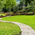 Summer landscaping