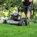 The lawn is mown with the lawn mower